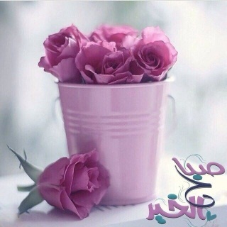 صباح الورد لاحلى ورد - صور ورد وزهور Rose Flower images